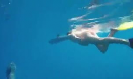 水中生产视频,揭秘水下生产技术的魅力与挑战